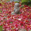 能登町平等寺「あじさい寺」の紅葉