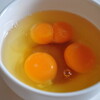ふたご卵