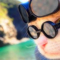 カッコイイとは こういうことさ とは 映画の人気 最新記事を集めました はてな カッコイイとは こういうことさ とは 映画の人気 最新記事を集めました はてな