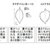 ノブキとヌマダイコン