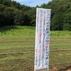 ひまわり畑まつり　/ みどり市笠懸