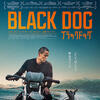中国映画レビュー&解説「ブラックドッグ 狗阵 Black Dog」