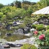 【奈良の御朱印】當麻寺奥院｜牡丹の花咲く 浄土庭園の春景色