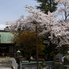 大沼神社（相模原市南区東大沼）