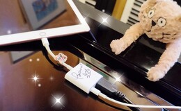 記事を見る