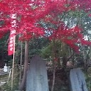 辞書と暮らせば（休業中）