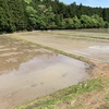 京都府丹南町の田植え