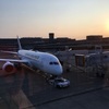 まるで高級カプセルホテル！？JALのビジネスクラスB787に乗ってみた