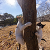 おーいでてこーい(5)