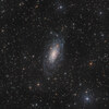 NGC3621を撮影しました