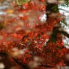 清水寺周辺で写した紅葉