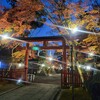 【京都】『大原野神社』ライトアップに行ってきました。京都観光 京都紅葉 女子旅