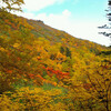 10月5日　銀泉台、高原温泉、黒岳の黄葉・紅葉