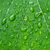LEICA Qは28mmレンズ固定式のM