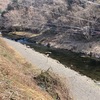 3月25日(火)秩父フライフィールドの河川情報