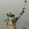 久々の茶事