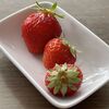 季節がおかしい？庭のいちごが赤くなっていました
