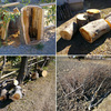 真冬の倒木作業