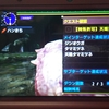 天眼タマミツネ（超特殊）：今さらmhxx