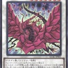 ドゥーム・オブ・ディメンションズに『黒薔薇の破滅竜』、『バイオレンス・ウィッチ』、『夜薔薇の黒騎士』、『黒薔薇の華園』等が新規収録。『ブラック・ローズ・ドラゴン』の効果をアシストするカード達
