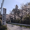 ６日と７日は埼玉県のヤマギシの村で「春のつどい」に