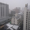 クアトロでも走れない 仙台大雪