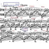 Schumann Carnaval "Chopin" 