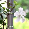 2015年7月