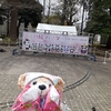 #上野公園#桜#お花見#うえの桜フェスティバル