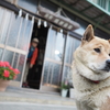 【登山】両神山　日向大谷ルート