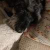 ふくすけ特集　やっちゃうよ