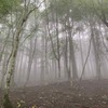 霧の中を歩きながら考えたこと： 三峯神社（奥宮）