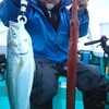 11月6日(土)午後船イワシ泳がせ