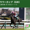 【 ハルの競馬予想 🏇 20.Mar’21 】