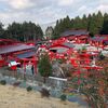 熊本のパワースポット① 宝来宝来神社【当銭岩】