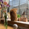 ４５年前は元気だった