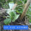 畑、存在が喜び。