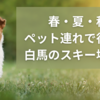 【長野・白馬村】ペット連れで遊びに行ける場所まとめ！ゴンドラ乗車できるスキー場・料金など