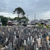 台風のせいなのか