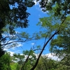 やまへ。。。。　夏ですが・・・・・　2020-8-27