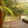 あるき遍路  ☜ 🚶 ＜追加＞  箸蔵寺～延命寺