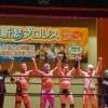【6月】新潟県内プロレス大会イベント情報！【新潟プロ 6.28＆29】