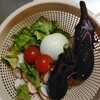 今日の料理　塩味のアラビアータ