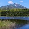 利尻島ヘ行ってきたので写真を貼っていくよ 後編（富士野園地、南浜湿原、仙法志御崎公園）