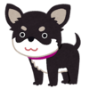 がれきの下から15時間後に救出されたチワワちゃん