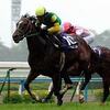 本日29日（月）の京都・新潟の競馬は？・・・陽遁⑨の日です。