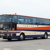 中部観光バス / 沖縄22き ・391