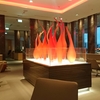 ラウンジレビュー・フランクフルト空港第1ターミナル・Air Canada Maple Leaf Lounge