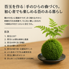 苔玉を作る｜手のひらの森づくり。初心者でも楽しめる苔のある暮らし