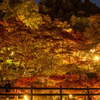 奈良県の紅葉スポット、ライトアップされた談山神社へ。駐車場は60分待ちという大渋滞だったわ。